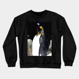 Emperor Penguin Crewneck Sweatshirt